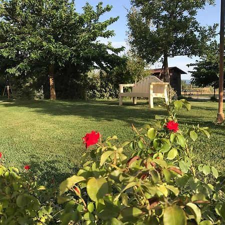 Country House Podere Le Rane Felici Fauglia Exterior photo